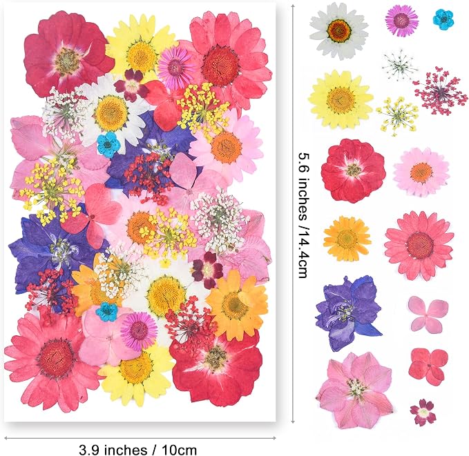 YouthBro Dried Pressed Flowers for Resin Molds, Real Natural Pressed Flowers - Image 2