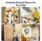 Aboofx Extra Large Flower Press Kit - Image 5