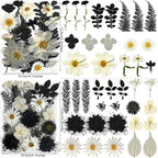131PCS Black White Dried Pressed Flowers - Image 4