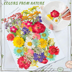 Kaluofan 103PCS Bookmark Making Kit, Transparent Flower Bookmarks, Handmade - Image 7