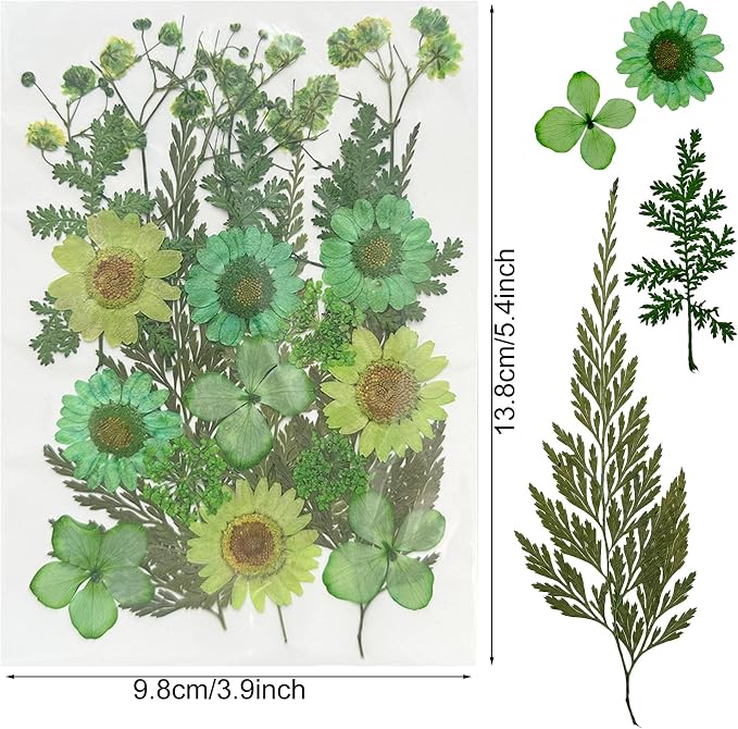 Woohome 126PCS Real Pressed Flowers, Dried Pressed Flowers Colorful Real - Image 6