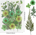 Woohome 126PCS Real Pressed Flowers, Dried Pressed Flowers Colorful Real - Image 6