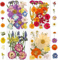 173 pcs Dried Flowers for Resin, Natural Flowers and Leaves Kit by Unknown