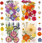 173 pcs Dried Flowers for Resin, Natural Flowers and Leaves Kit by Unknown