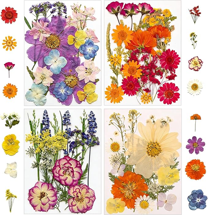173 pcs Dried Flowers for Resin, Natural Flowers and Leaves Kit by Unknown