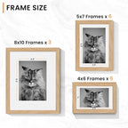 Venusmiles 15 Pack Picture Frames Collage Wall Decor, Gallery Frame Set - Image 5