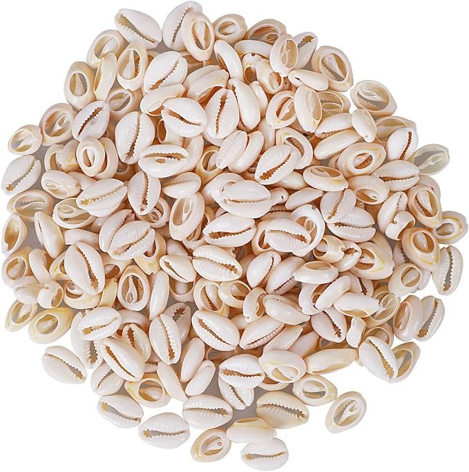 150 PCS White 0.63"-0.71" Natural Strong Cowrie Shell Beads Smooth Cut Oval - Image 6