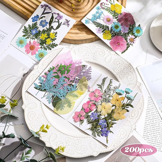 Nuanchu Pastel Dried Flower for Crafts Resin Pressed Flowers Bulk Real Dried - Image 2