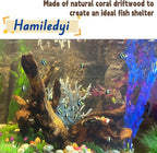 Hamiledyi 5PCS Driftwood for Aquarium Decor 3.5-7in Spider Wood Betta Fish Tank - Image 3