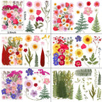 NESCCI 420 Pcs Dried Pressed Flowers - Image 4