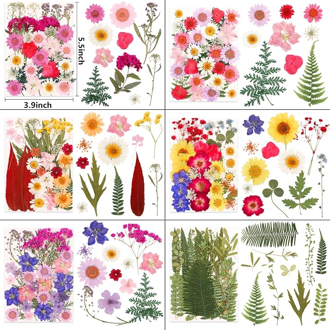 NESCCI 420 Pcs Dried Pressed Flowers - Image 4