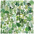 Transparent Flora Leaf Scrapbook Stickers Plant Leaf Stickers | Transparent & by Unknown