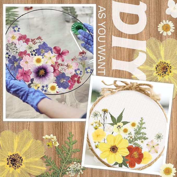 Nuanchu Dried Pressed Flowers for Crafts Resin Real Flat Dried Flowers Leaves - Image 6