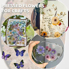 142Pcs Dried Flowers, Dried Pressed Flowers - Image 4