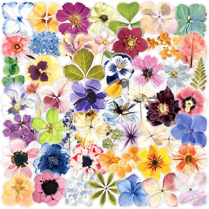 50PCS Transparent Flora Scrapbook Stickers, Flower-E | Vintage Aesthetic Flowers by Unknown