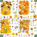 220 Pcs Dried Pressed Flowers for Resin Crafts, Real Natural Pressed Flowers - Image 2