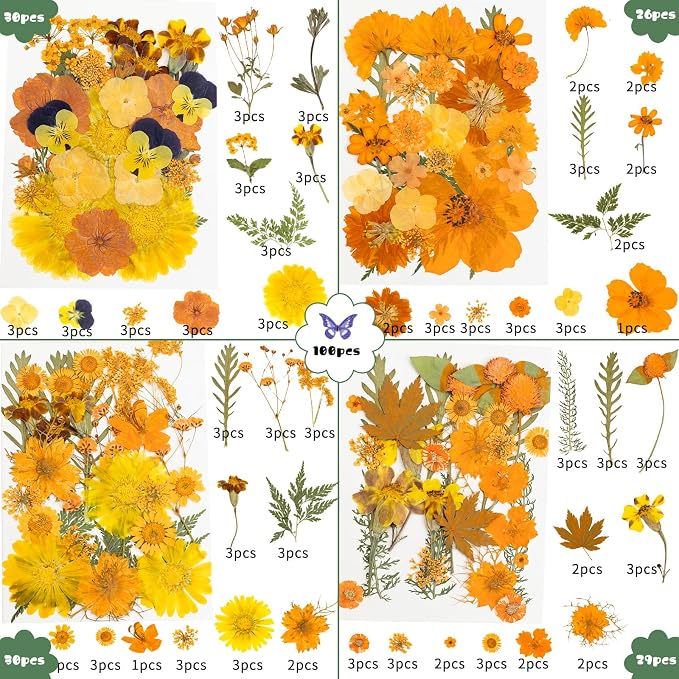 220 Pcs Dried Pressed Flowers for Resin Crafts, Real Natural Pressed Flowers - Image 2