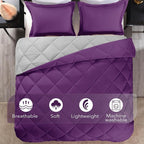 downluxe King Size Comforter Set - Image 5