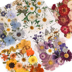 150PCS Pressed Dried Flowers Dry Leaves - Image 2