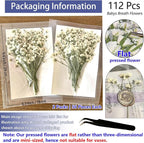 112Pcs Babys Breath Mini Dried Pressed Flowers - Image 3