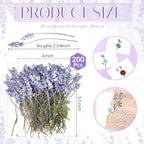 Wavwavw 200 Pcs Pressed Dried Lavender Flowers Stems Natural Preserved Real - Image 2