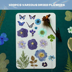 Pressed Flowers112 Pcs, Dried Pressed Flowers - Image 2