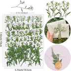 50Pcs White Dried Pressed Flowers - Image 2
