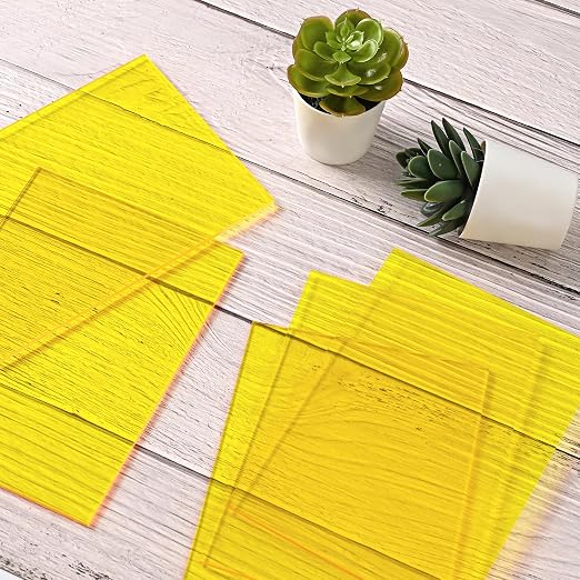 Lesnlok Yellow Acrylic Sheets 1/8 inch Thick 3mm 2 Pack 8 x 10 Clear Plexiglass - Image 5