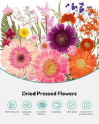 Dried Pressed Flowers, Resiners Dried Flowers - Image 6