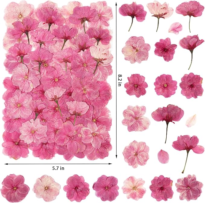 101 PCS Pressed Cherry Blossom for Crafts, Dried Sakura Flowers for Soap Candle - Image 2