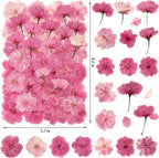 101 PCS Pressed Cherry Blossom for Crafts, Dried Sakura Flowers for Soap Candle - Image 2