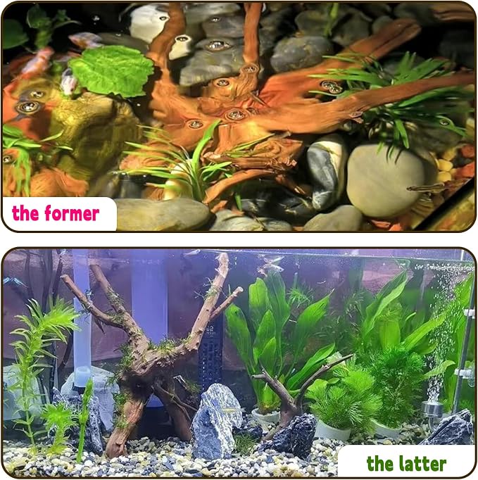 Hamiledyi 4PCS Driftwood for Aquarium 8-10in Natural Spider Wood Reptile - Image 5