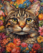 xackcme Cat Paint by Numbers for Adults by xackcme
