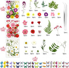 190 Pcs Dried Pressed Flowers for Resin, Real Dried Pressed Flowers for Resin - Image 3