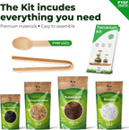 Terrarium Kit, Succulents & Indoor Plants Set DIY | Starter Pack - Image 5