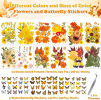 361 Pcs Pressed Dried Flowers - Image 7