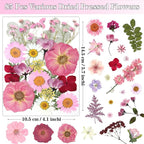 85Pcs Pink Dried Flowers for Crafts, Natural Pressed Flowers for Crafts Real - Image 2