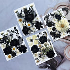 90Pcs Black Pressed Dried Flowers - Image 3