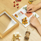 8x8 Shadow Box Picture Frame - Image 2