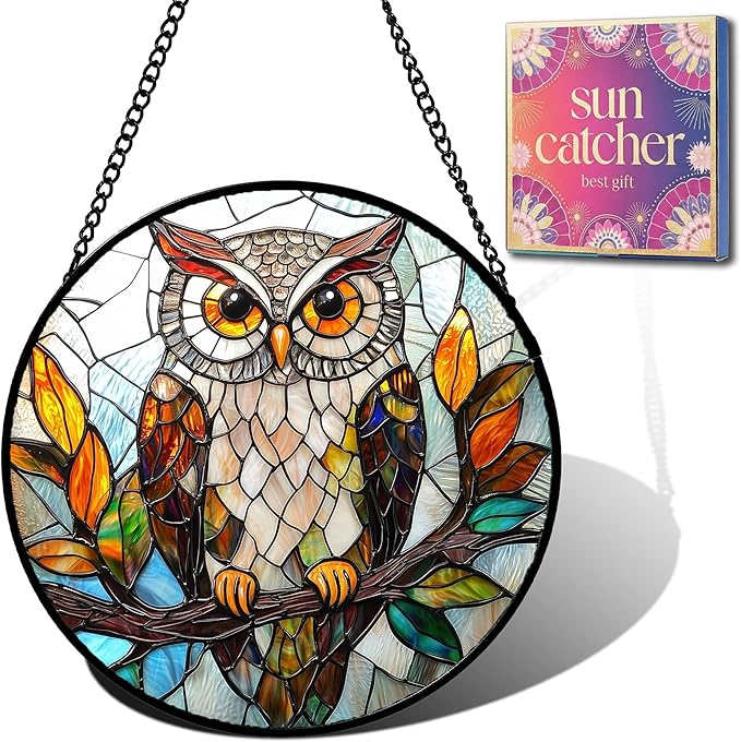 Owl Gifts for Women by HKDGOKA