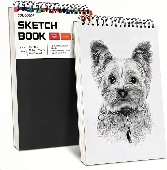 Professional Drawing Supplies for Sketch, Pastel Pencils & Sticks. Soucolor by Soucolor
