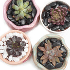 Black Small Decorative Pebbles - 2LB Gravel River Rock - Image 5