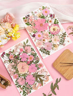 80pcs Pink Pressed Flowers Bulk, Romantic Dried Flower Leaves, Natural Pressed - Image 4