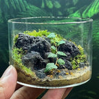 Natural Volcanic Lava Rock 1-2.5 Inches Decorative Stones - Image 7