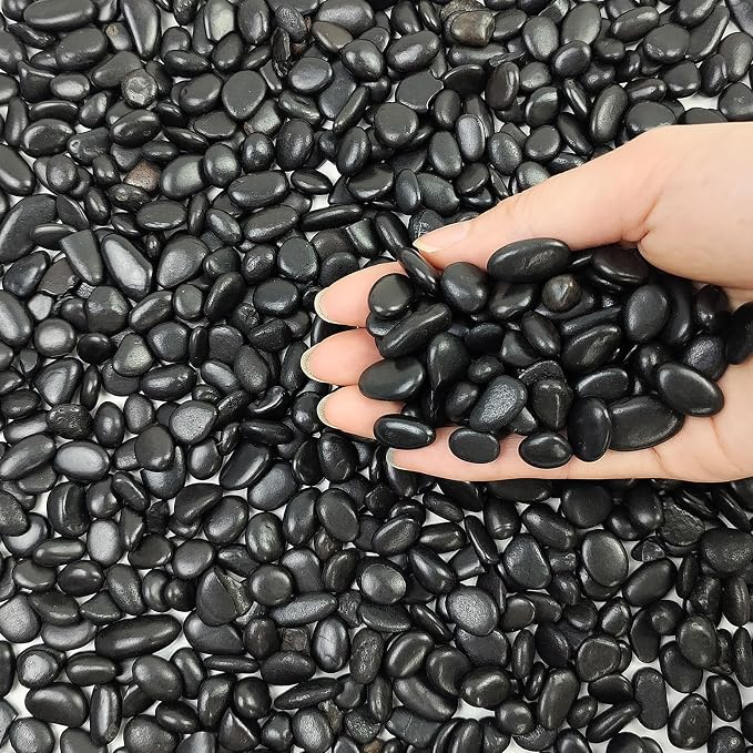 FANTIAN 10 lbs Small Black Pebbles by FANTIAN-GardeningMakesLifeBetter