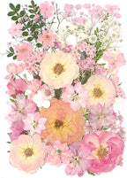 AHTONG 14 Types Pink Dried Pressed Flowers by AHTONG