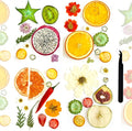 Nature Dried Pressed Fruits Flowers by ZQmino