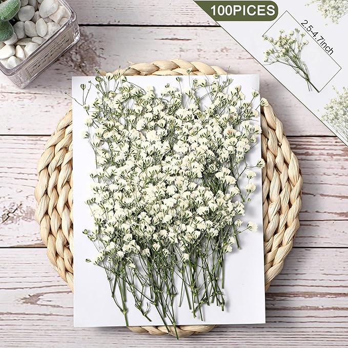 Tinideya 100 Pcs Dried Babys Breath Flowers Bulk Babys Breath Real Pressed - Image 2