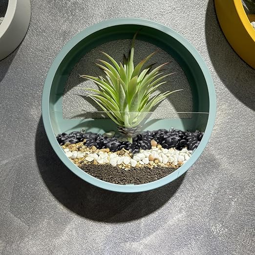 Pulovin 10 lbs Black Pebbles for Indoor Plants, 3/8" Plant Rocks for Pots Indoor - Image 7