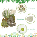Timtin 84 Pieces Dried Pressed Leaves Flowers - Image 2